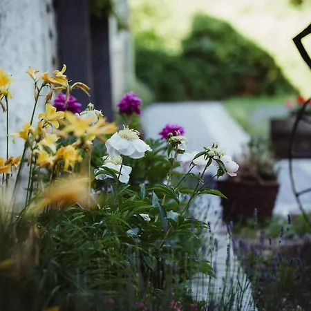 Bed & Breakfast Lawendowa Stajnia *