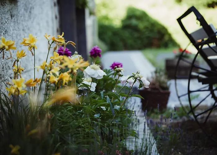 住宿加早餐酒店 Lawendowa Stajnia *
